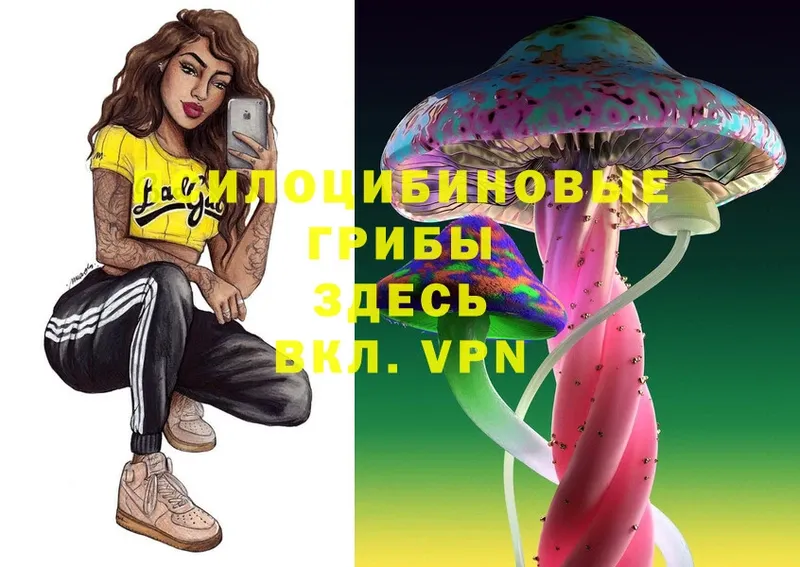 Галлюциногенные грибы MAGIC MUSHROOMS  Бирюсинск 